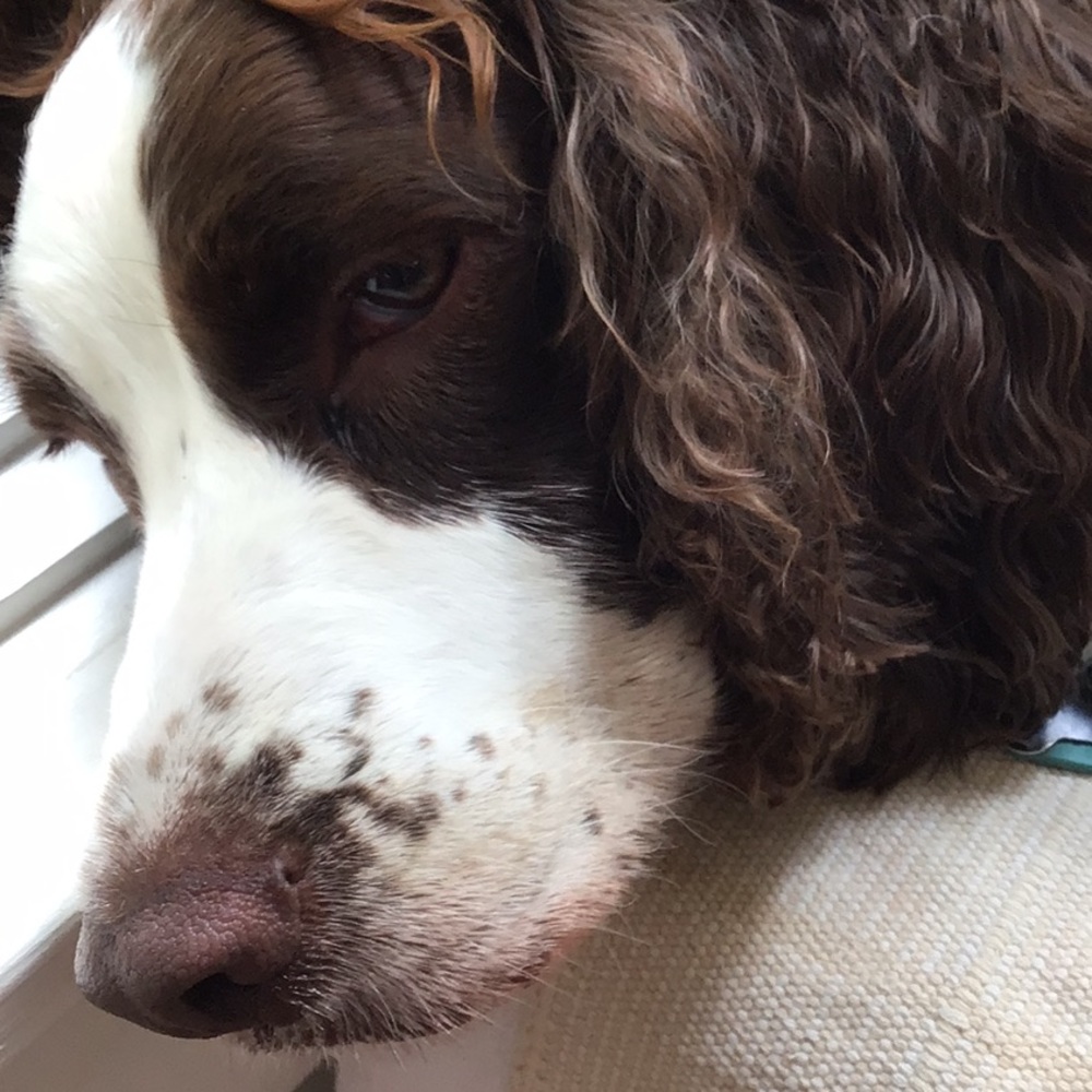 Meet your Posher, Becky